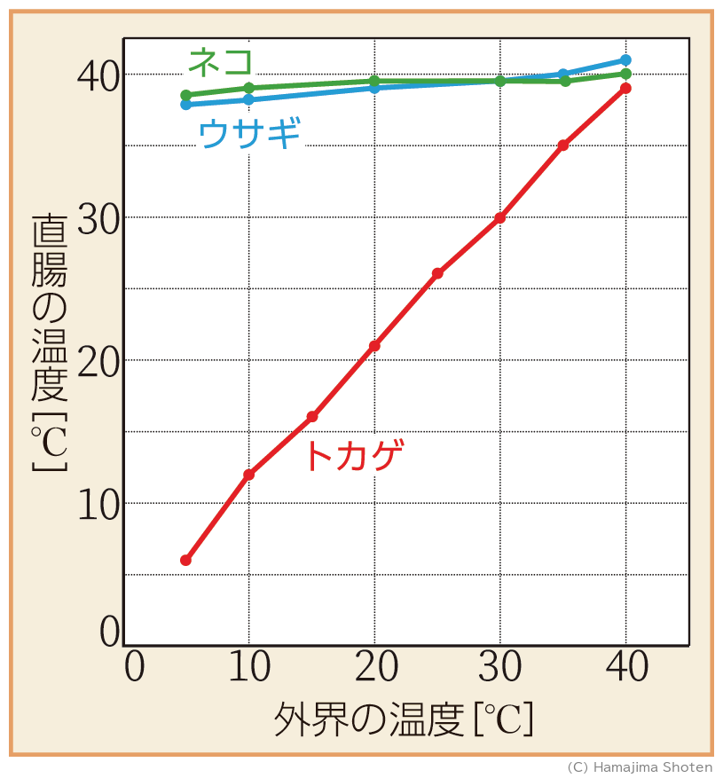 図：外界の温度と体温（直腸の温度）