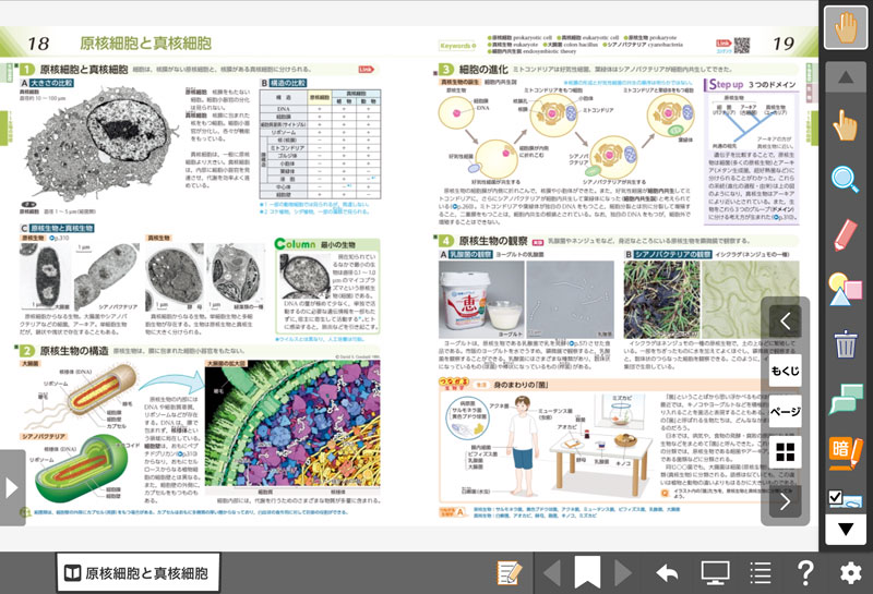 ニューステージ生物図表