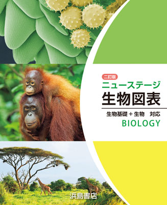 ニューステージ生物図表