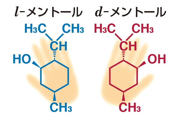 図版：メントールの構造