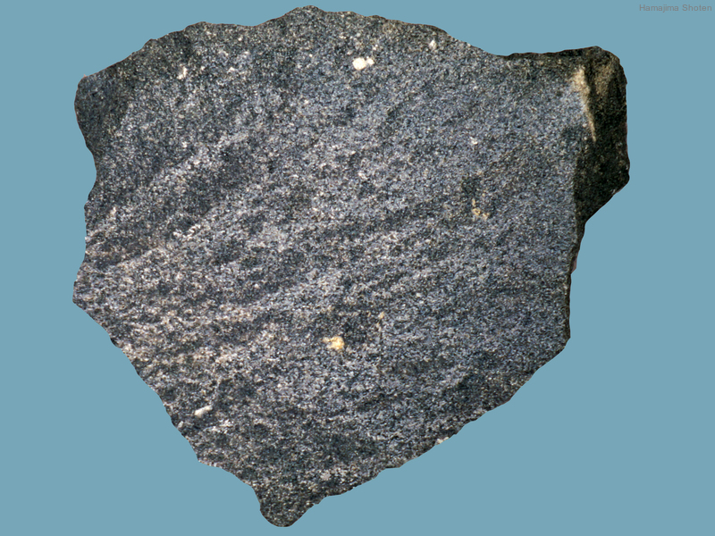 特徴 砂岩 堆積岩の特徴と見分け方