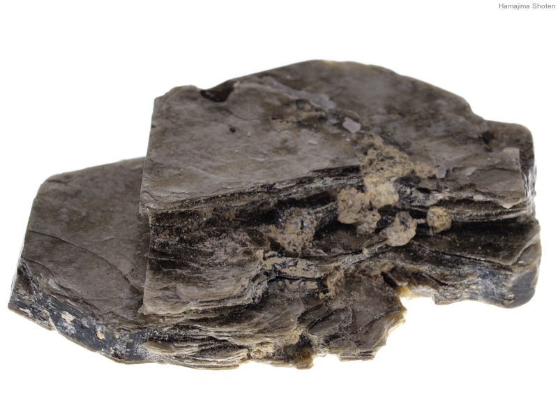 千軒石。中型 火山岩 黒色 不規則形状 千軒石。自然の黒色溶岩石 不