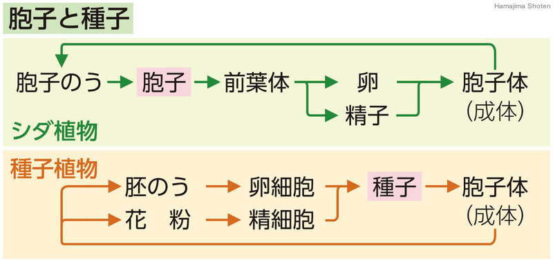 用語解説 理科便覧ネットワーク 浜島書店