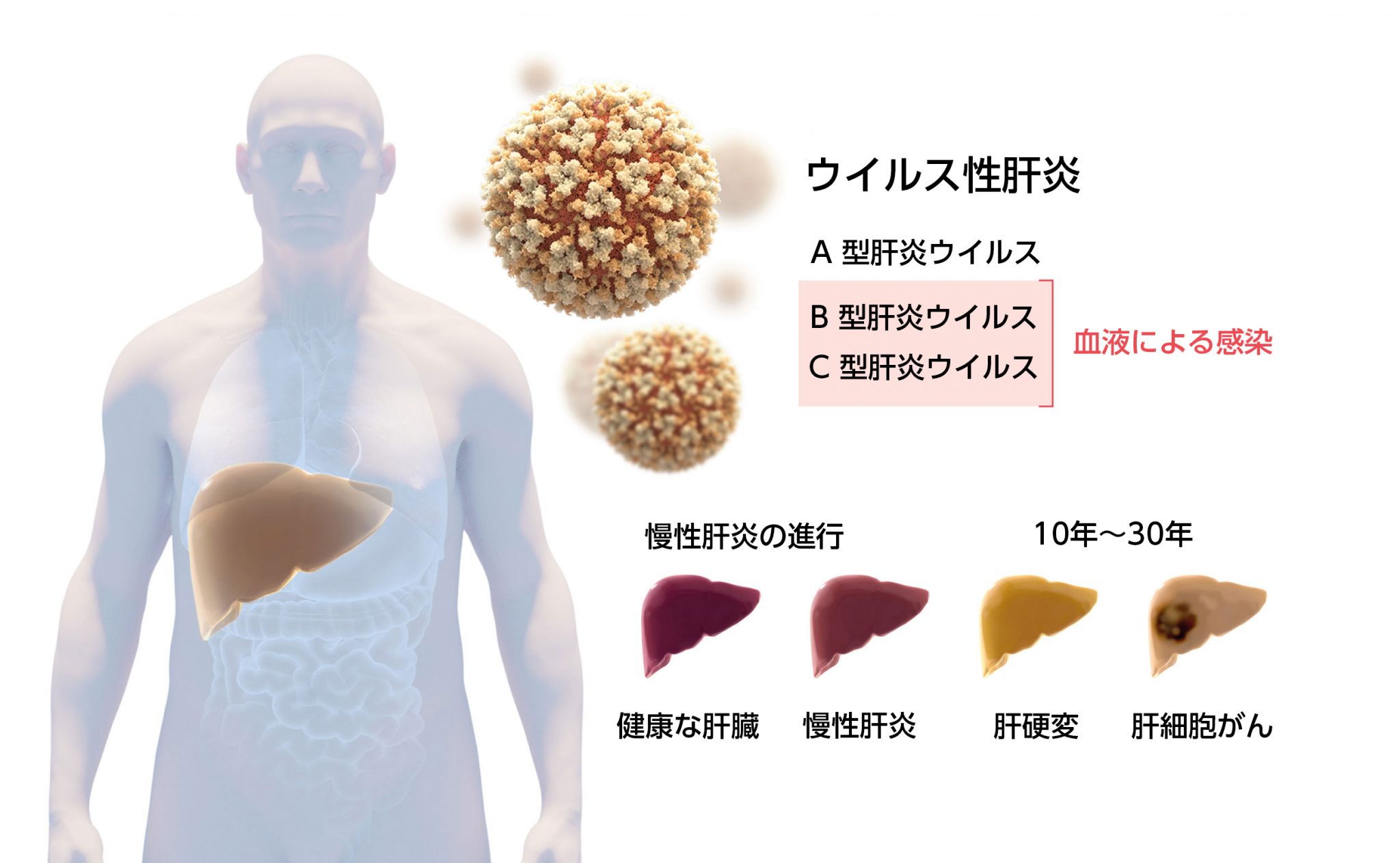 ノーベル生理学・医学賞