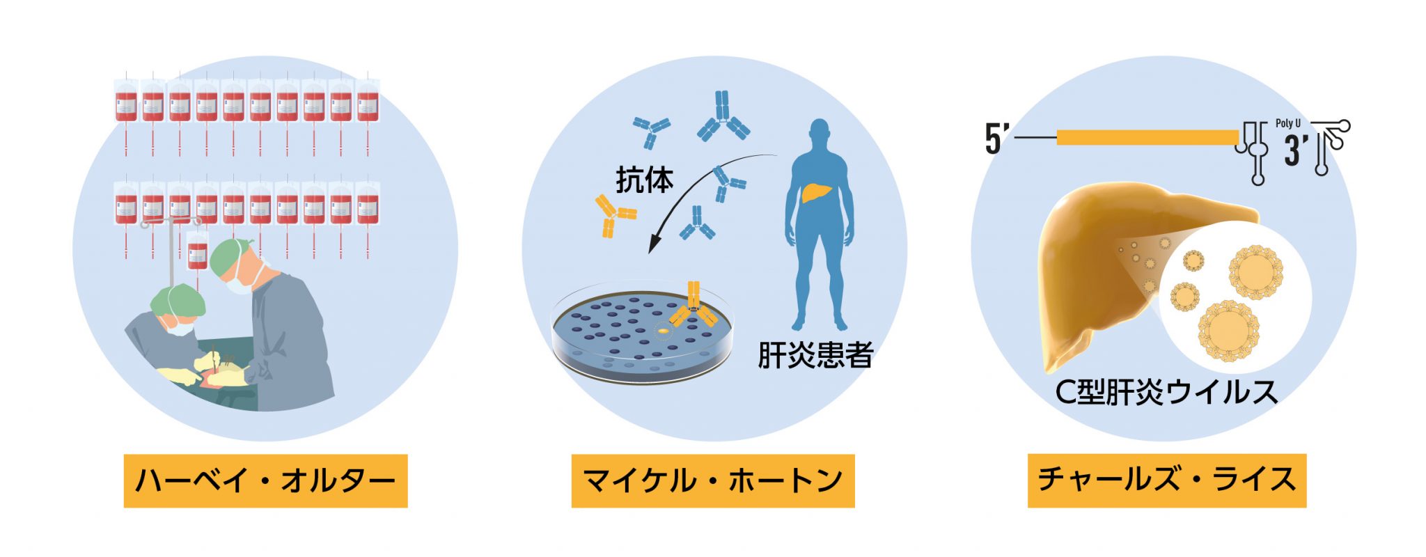 兆候と症状