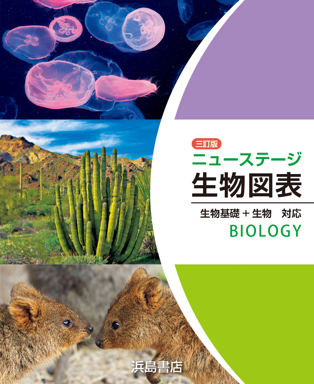 ヒトゲノムマップ - 生物図表オンライン